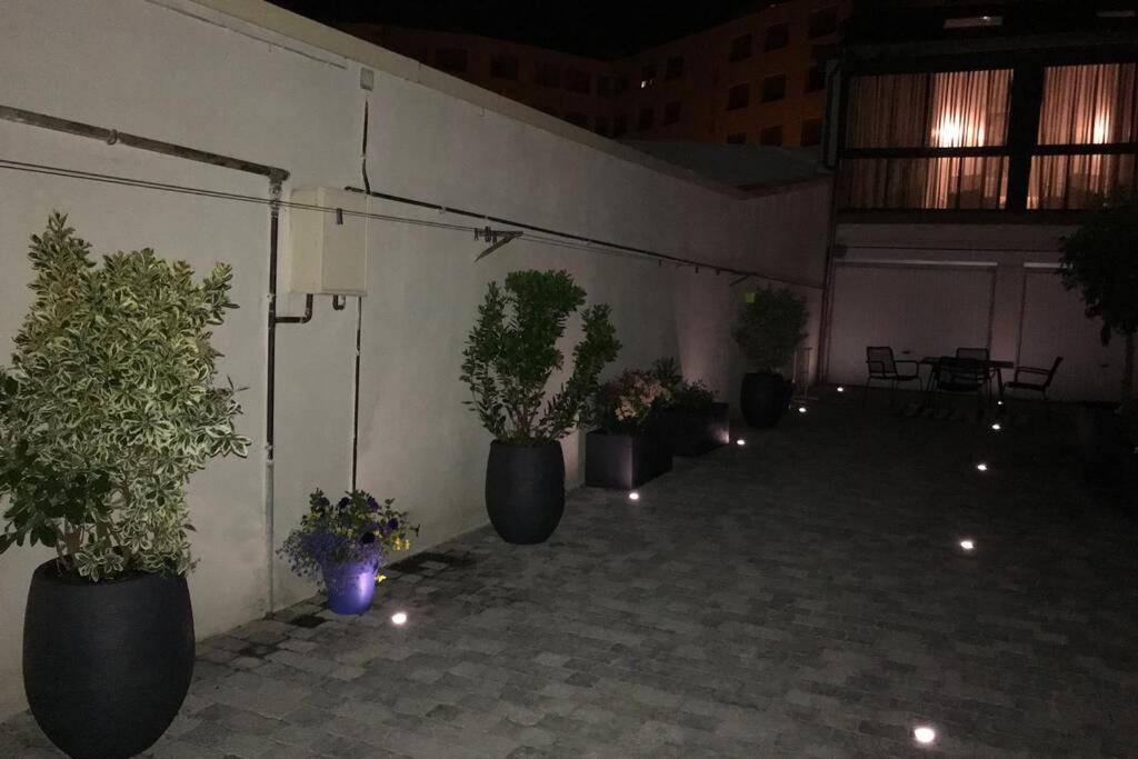 Апартаменты Rare Petit Cocon F1 Calme Possibilite Jacuzzi Hammam En Sus Шамальер Экстерьер фото